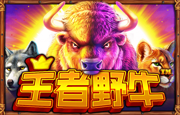 bsport体育最新版
